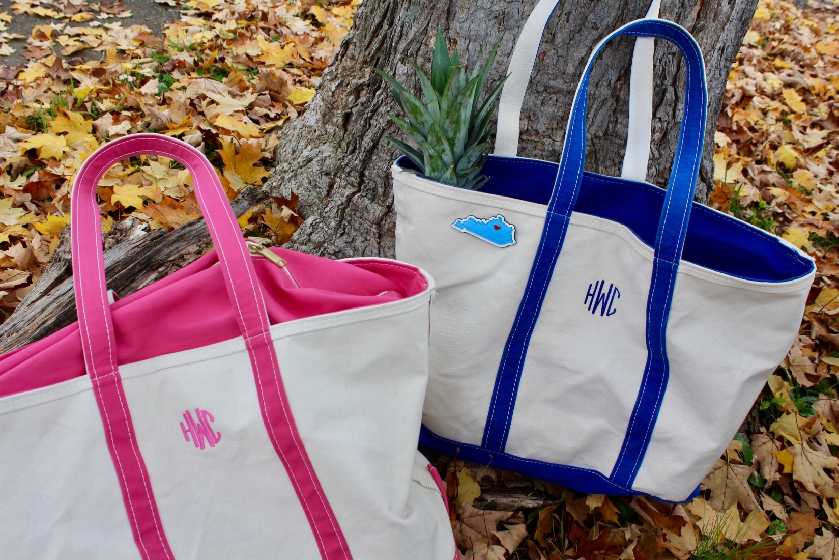 Ll bean online zipper tote